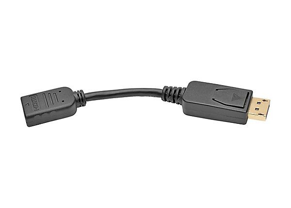 6in DisplayPort-HDMI Cable Adapter M/F